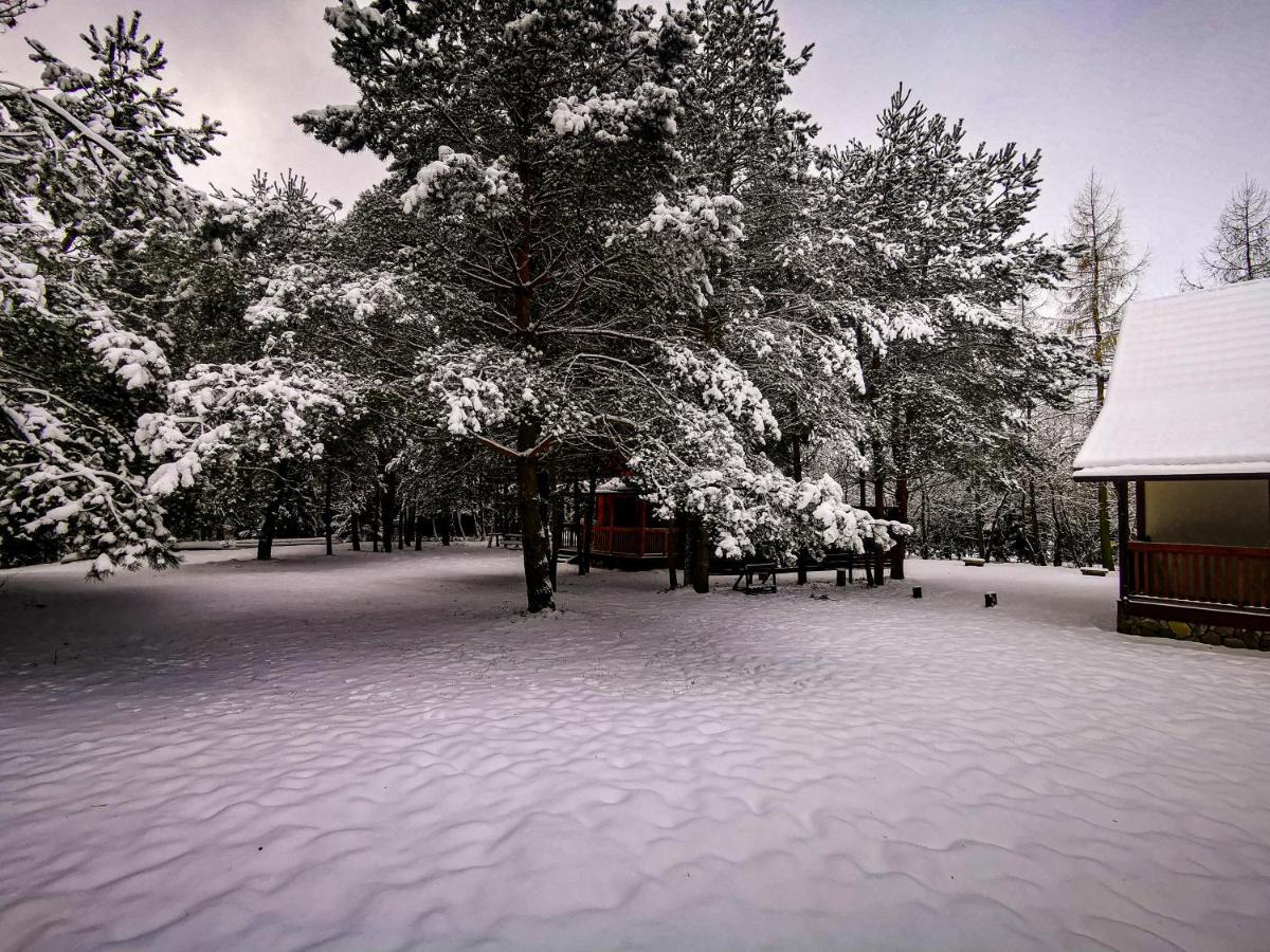 Ostoja Holiday home