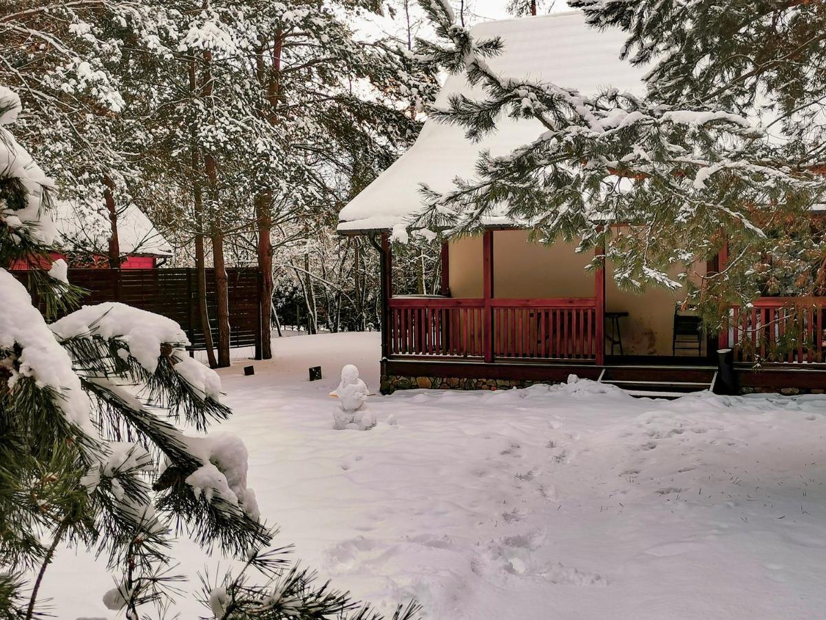 Ostoja Holiday home