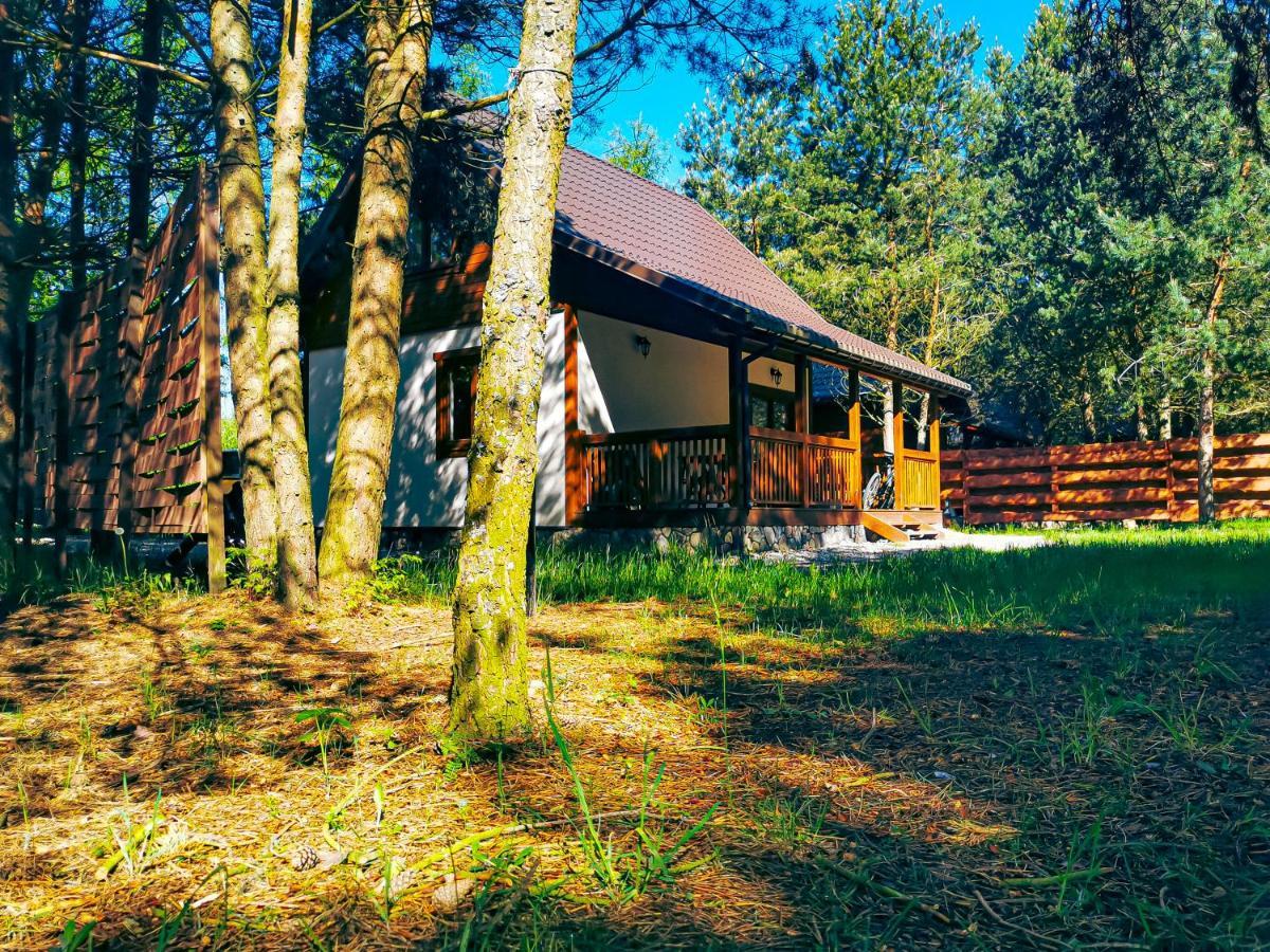 Ostoja Holiday home Stacze